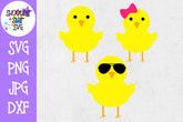 Chick - boy chick - girl chick - cool chick - Easter SVG